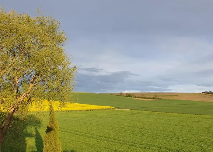 Weisswein Apartamento